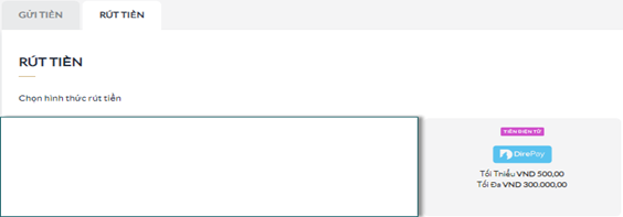 DirePay_VN_4