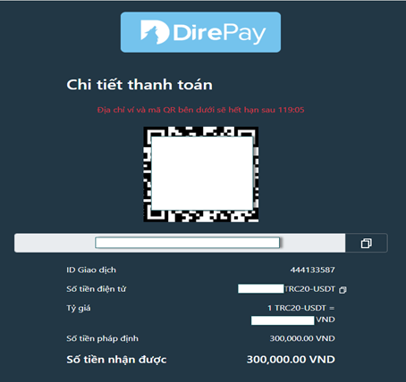 DirePay_VN_7