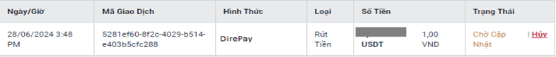 DirePay_VN_8
