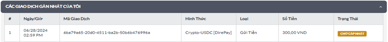 USDCoin_VN_8