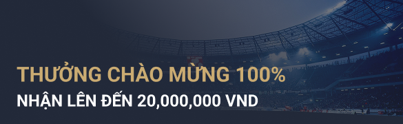 promtion banner